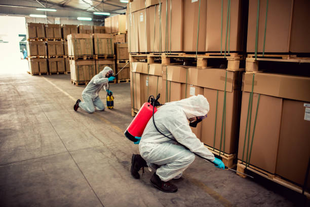 Best Cockroach Control Services  in Deenwood, GA