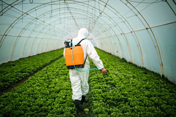 Best Local Pest Control Services  in Deenwood, GA