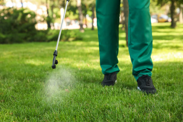 Best Pest Removal Services  in Deenwood, GA