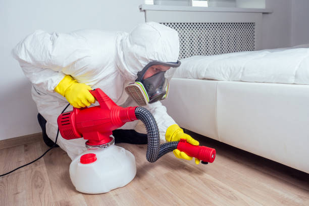 Wasp Removal Services in Deenwood, GA