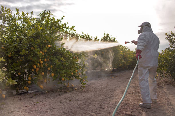 Insect Control in Deenwood, GA