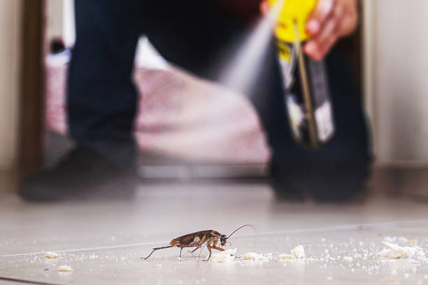 Best Bed Bug Extermination  in Deenwood, GA