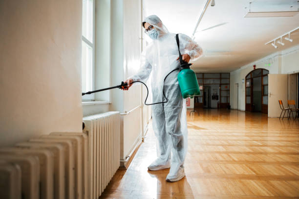 Best Local Pest Control Services  in Deenwood, GA