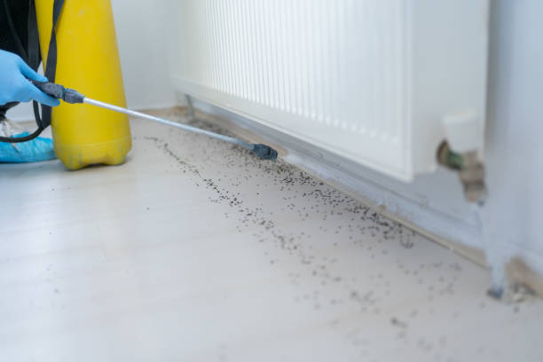 Best Affordable Pest Control Services  in Deenwood, GA