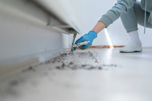 Best Wasp Removal Services  in Deenwood, GA