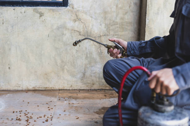 Best Pest Control for Businesses  in Deenwood, GA