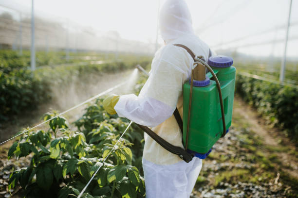 Best Wasp Removal Services  in Deenwood, GA
